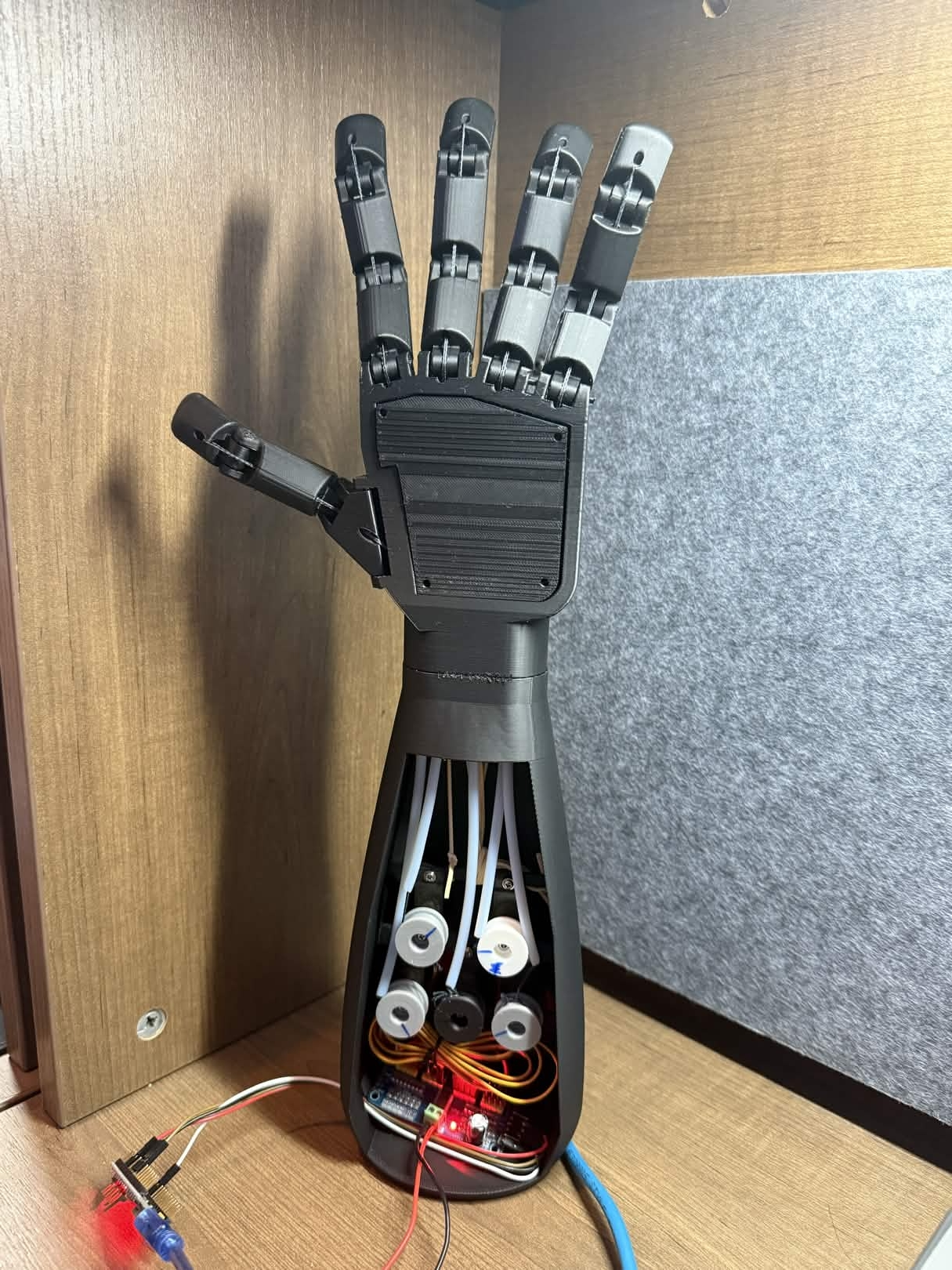 Anthropomorphic Robot Hand